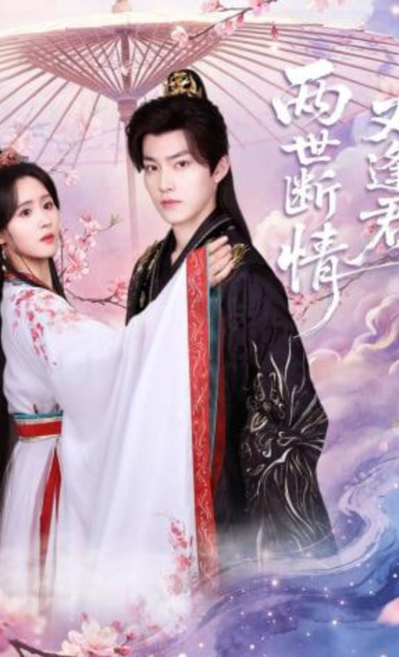 两世断情又逢君——桃花映江山36集