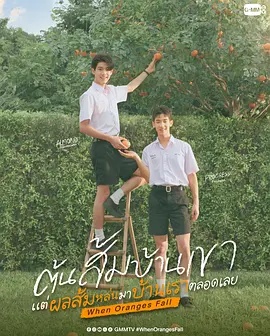 当橘子掉落时——拔哥的故事电影